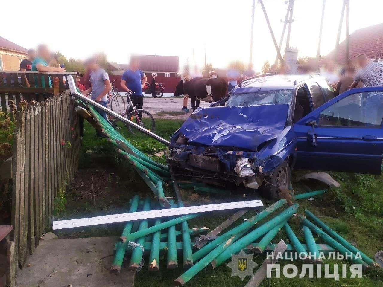 Водій легковика збив одразу кілька корів і розбив дерев'яний паркан.