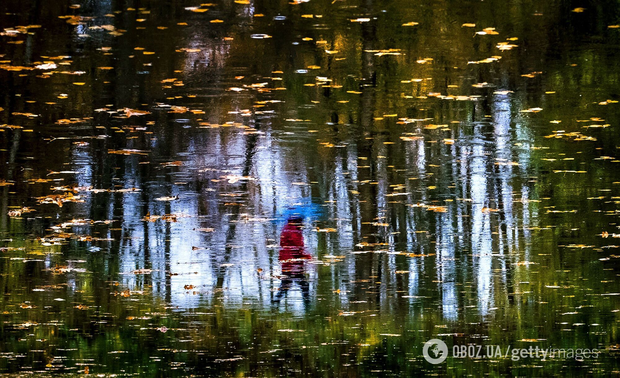 В Україну прийде циклон із дощами.