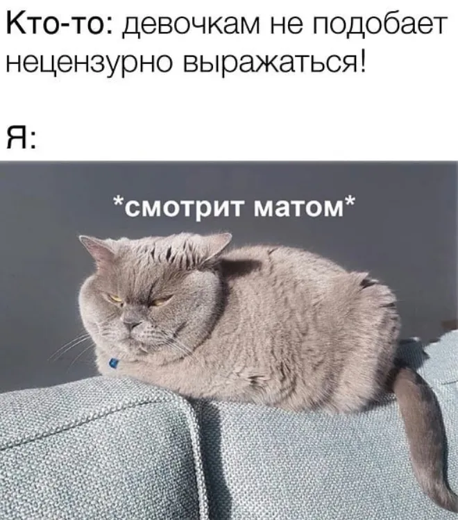 Анекдоты дня: лучшие шутки и мемы за 13 сентября