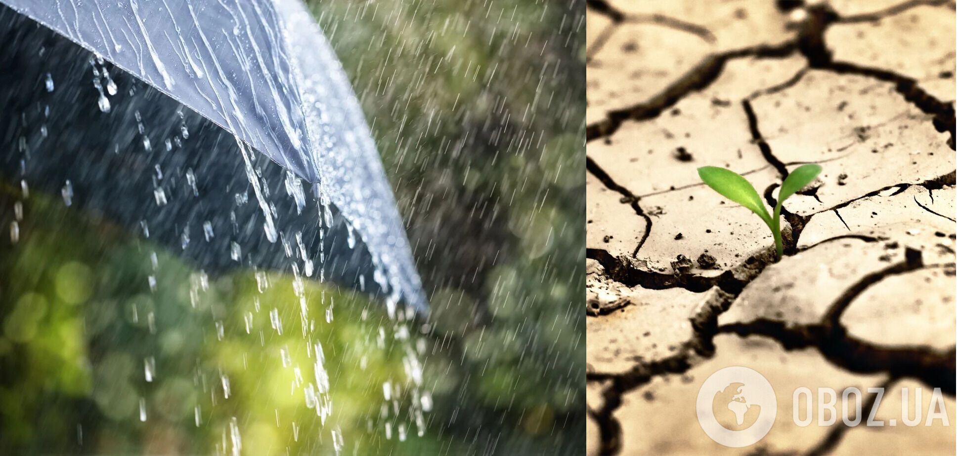 Сильні зливи не зможуть дати потрібну вологу засохлому ґрунту