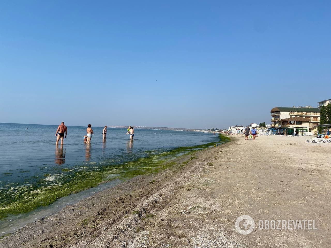 Побережье укрыто водорослями и мертвыми медузами