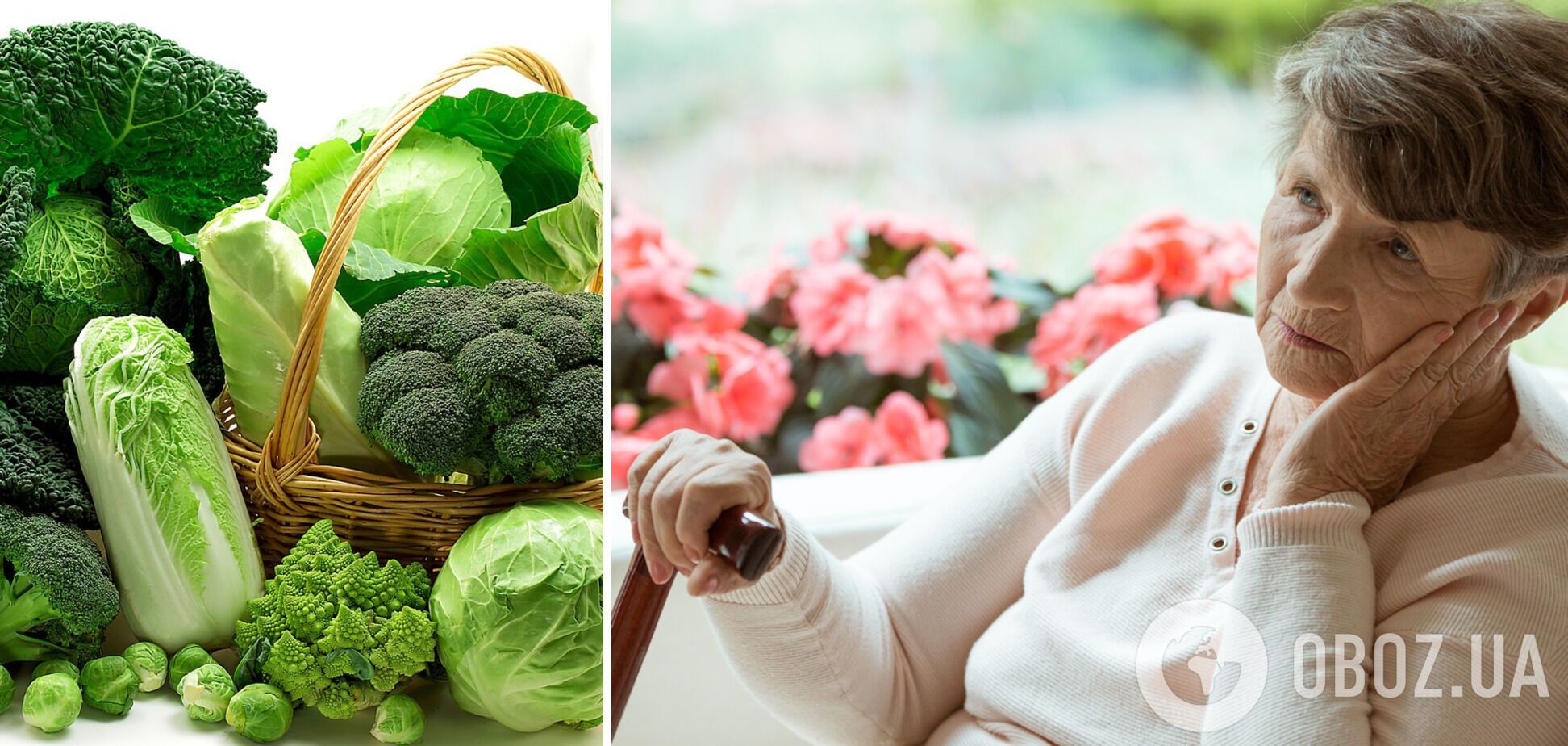 Зелені листові овочі корисні для запобігання розвитку деменції