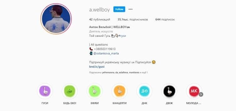 Профиль в Instagram Wellboy.