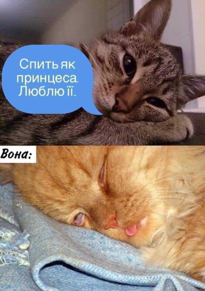 Мем про отношения