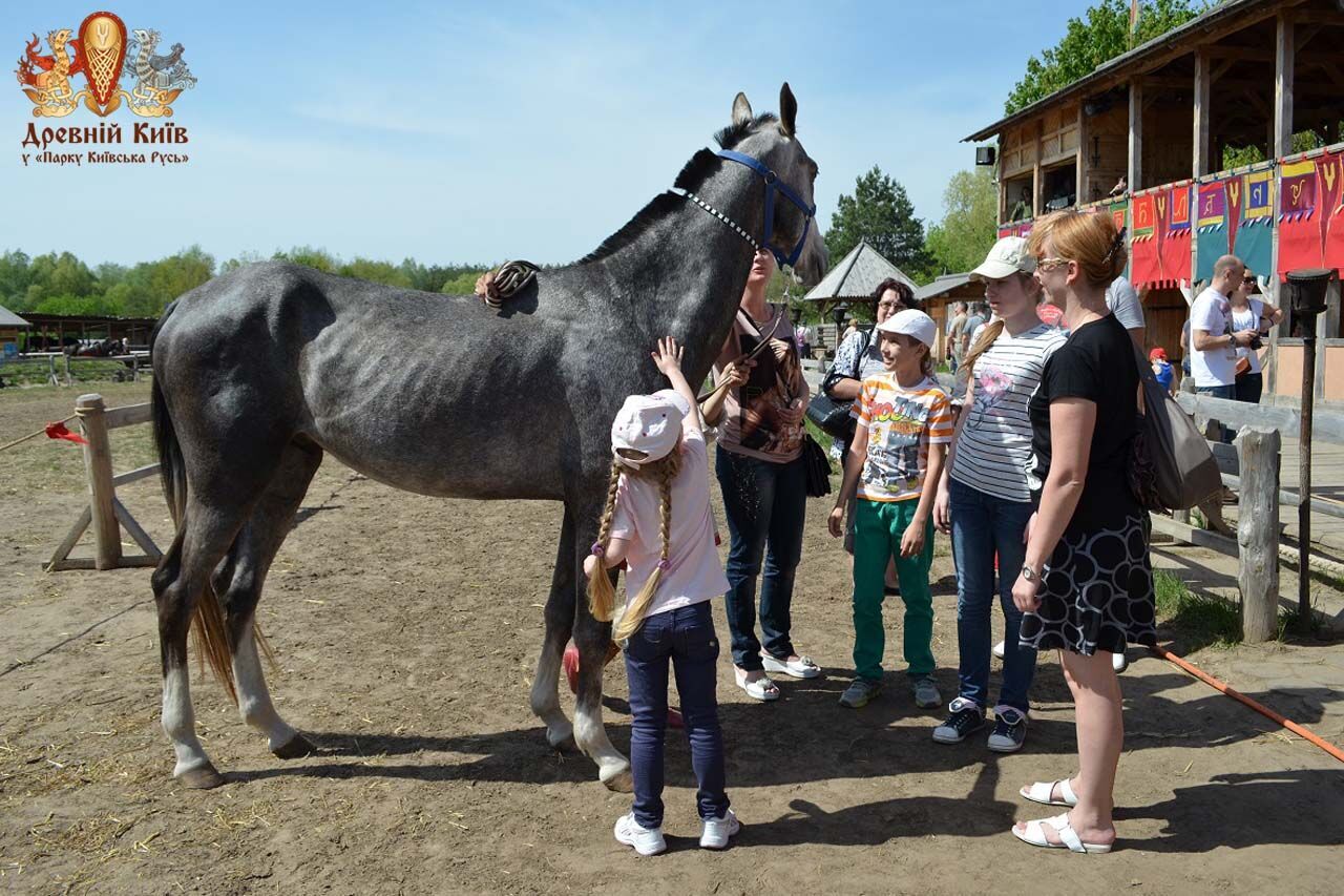 В "Парке Киевская Русь" покажут лошадей редких исторических пород