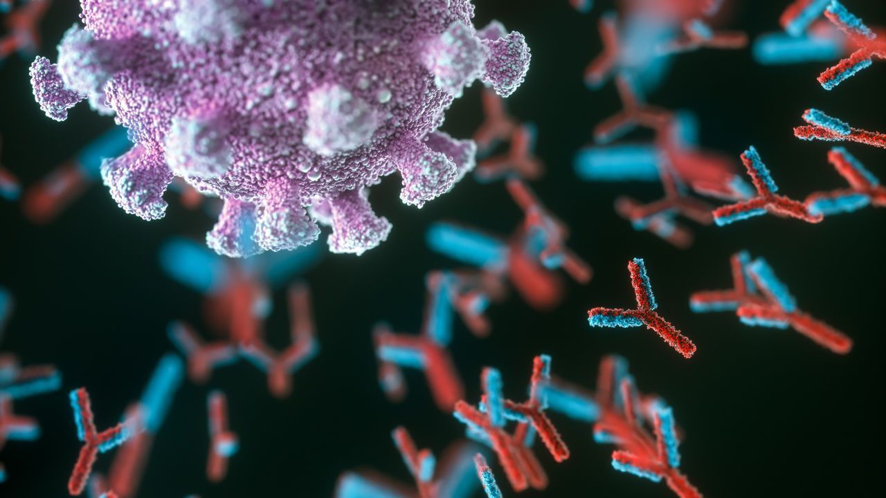 Как получить "сверхчеловеческий" иммунитет против коронавируса: ученые обнаружили способ