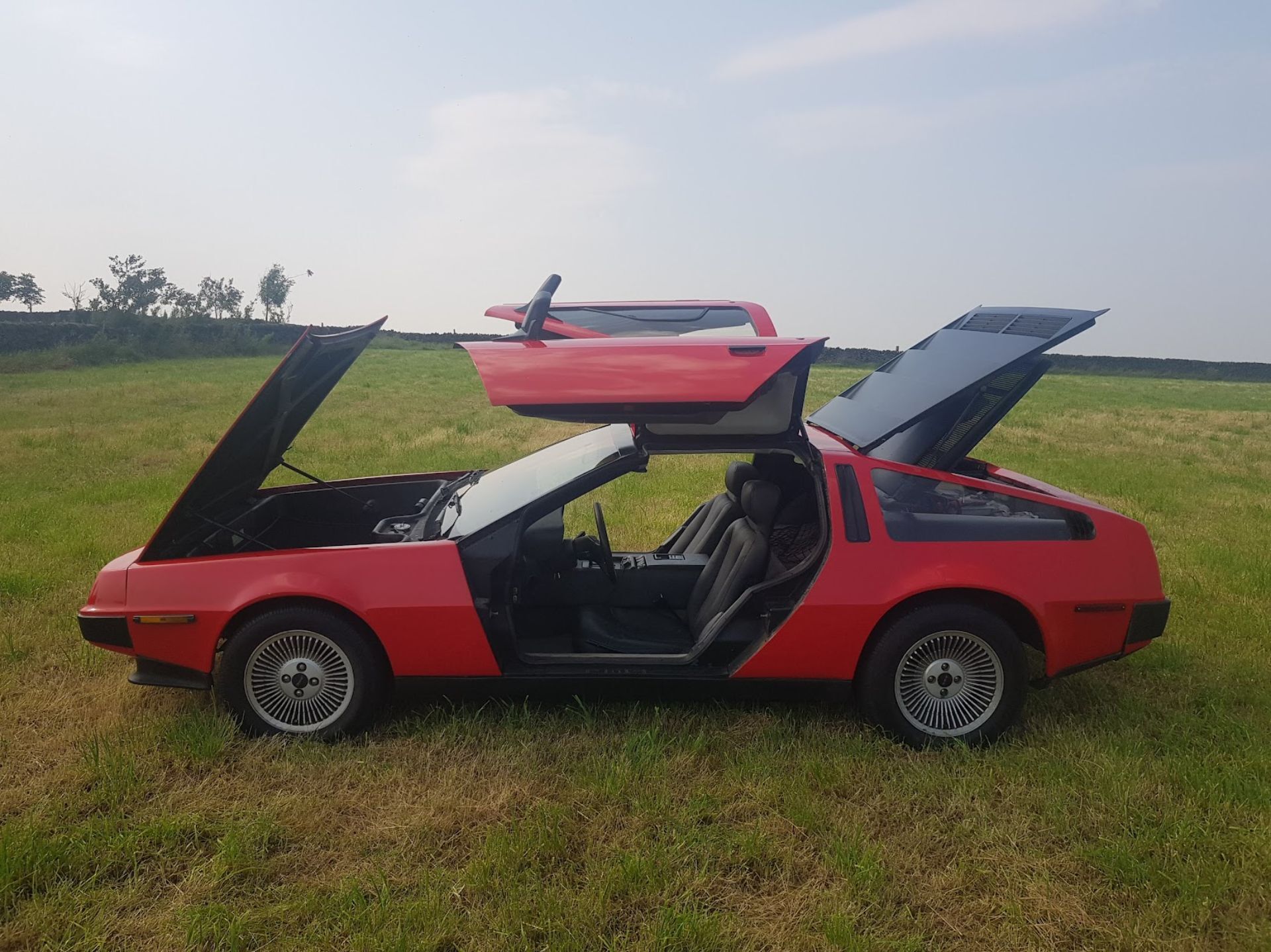 Авторство дизайну DeLorean DMC-12 належить Джорджетто Джуджаро