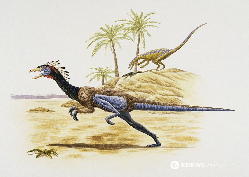 Ймовірне зображення динозавра Coelophysis bauri