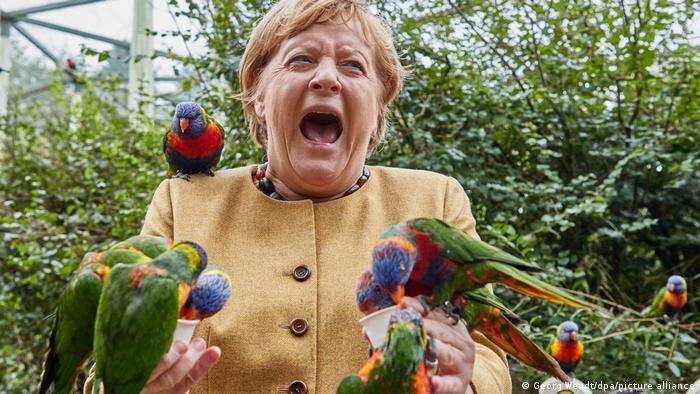 В сети стали вирусными фото канцлера ФРГ Меркель с попугаями в птичьем парке