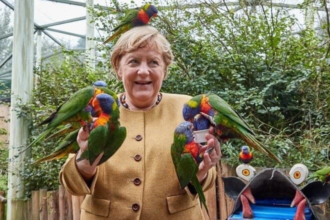 В сети стали вирусными фото канцлера ФРГ Меркель с попугаями в птичьем парке