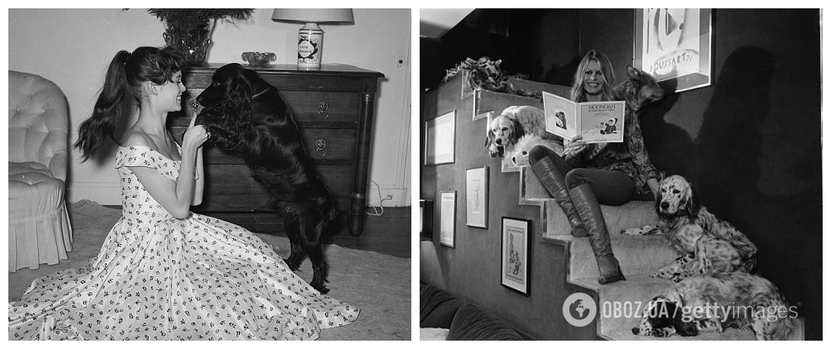 Звезда с детства заботилась о животных (1955, 1978).