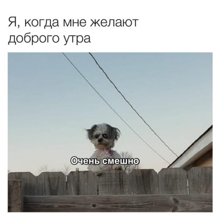 Шутка про утро