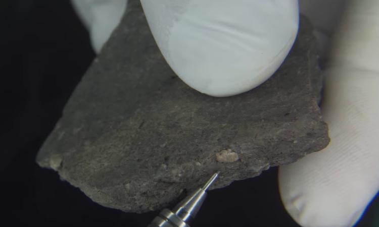 Найдавнышому артефакту понад 7 тисяч років