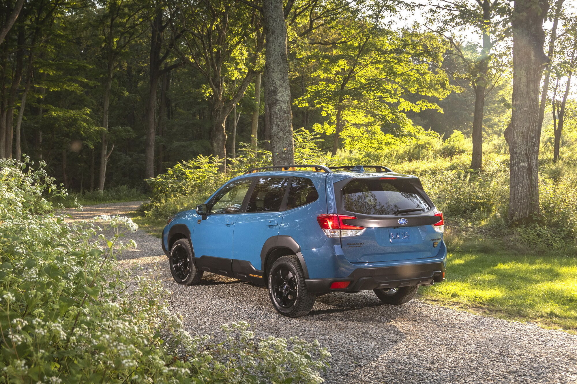 Subaru показала версию Forester Wilderness Автомир Курс Украины