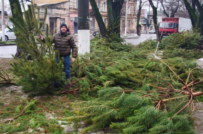 Предприниматели оставили тысячи деревьев по всему городу