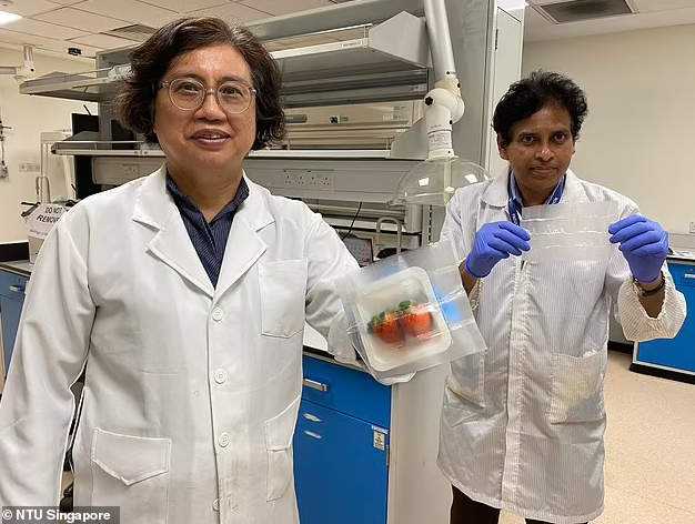 Биоинженер Мэри Чан-Парк вместе со своим коллегой Сурешом Кумаром Раманом Пиллаи