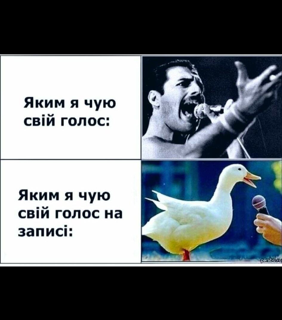 Мем о записи голоса