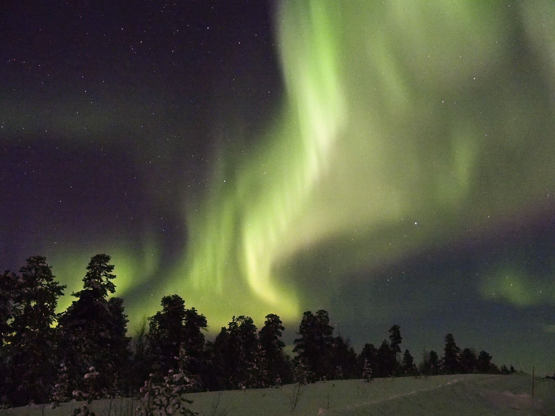 В Фінляндії проводять екскурсії для тих, хто хоче побачити північне сяйво.