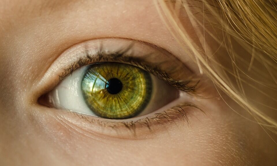 Зрение – важнейший орган чувств человека