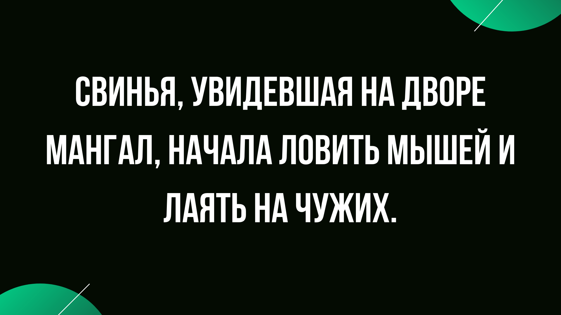 Анекдот про свинью