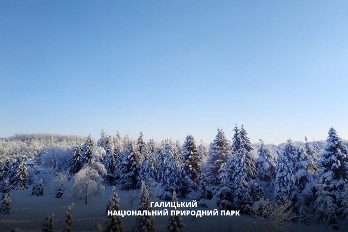 Названі найкращі національні парки України для зимового вікенду