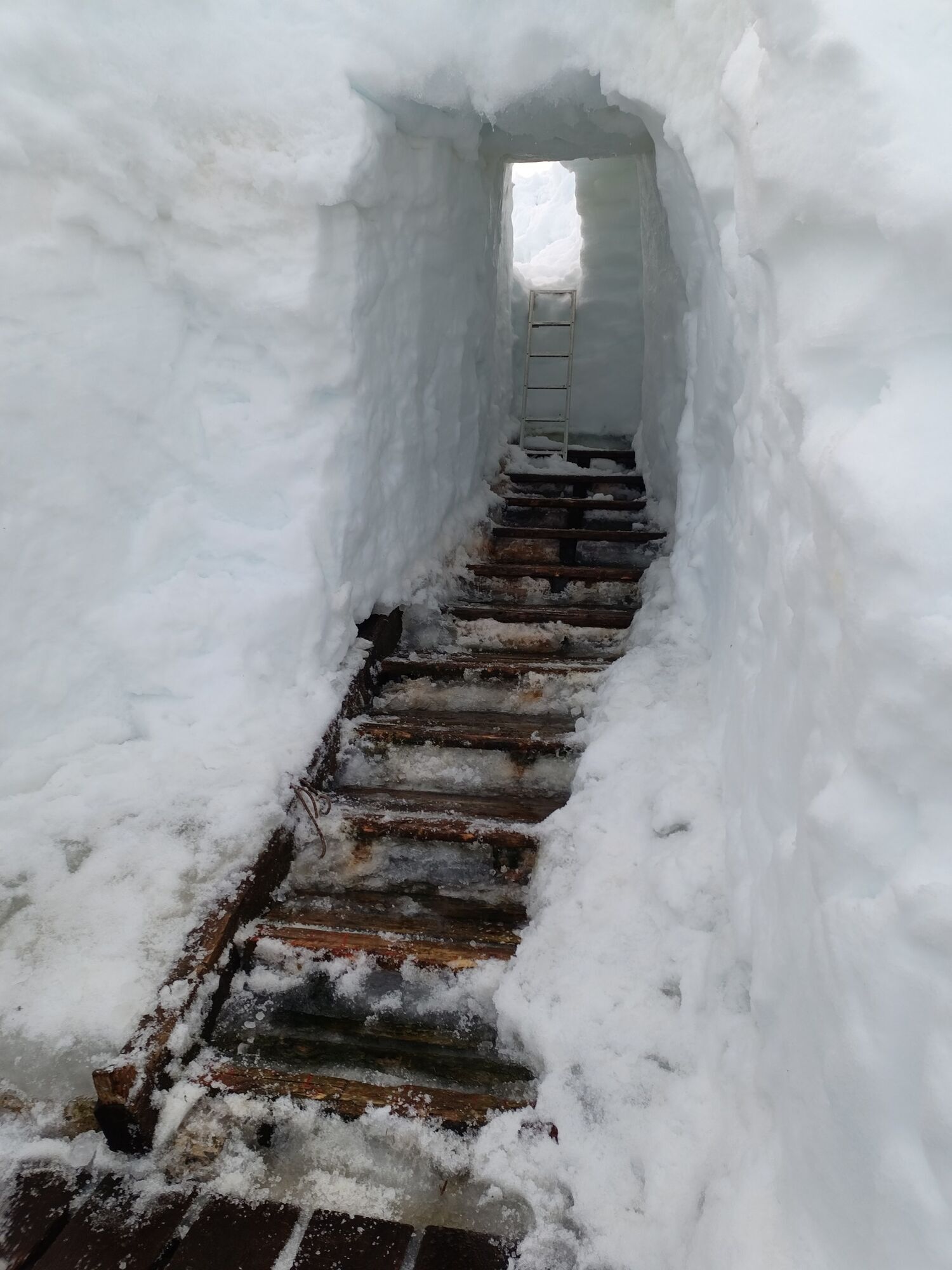 Местами пришлось делать туннели из снега.