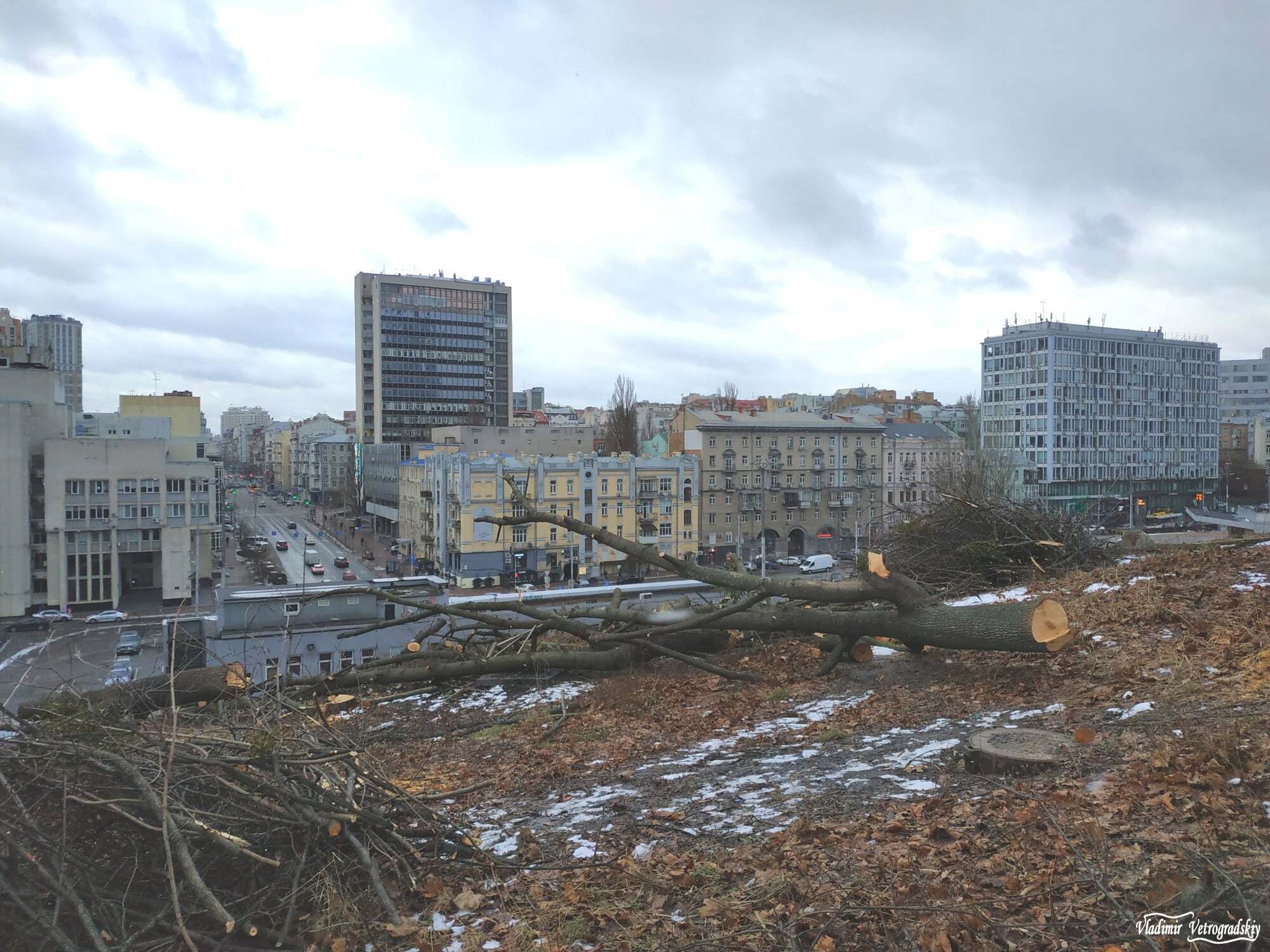 Вирубка дерев на Черепановій горі в Києві