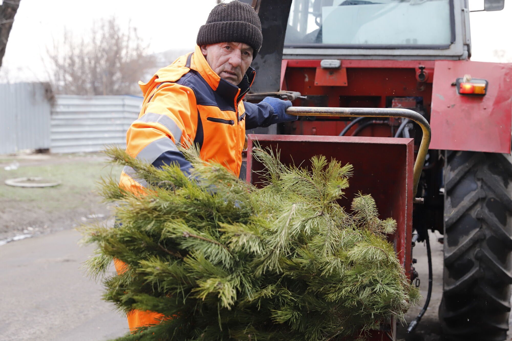 В Днепре коммунальные службы утилизируют новогодние елки