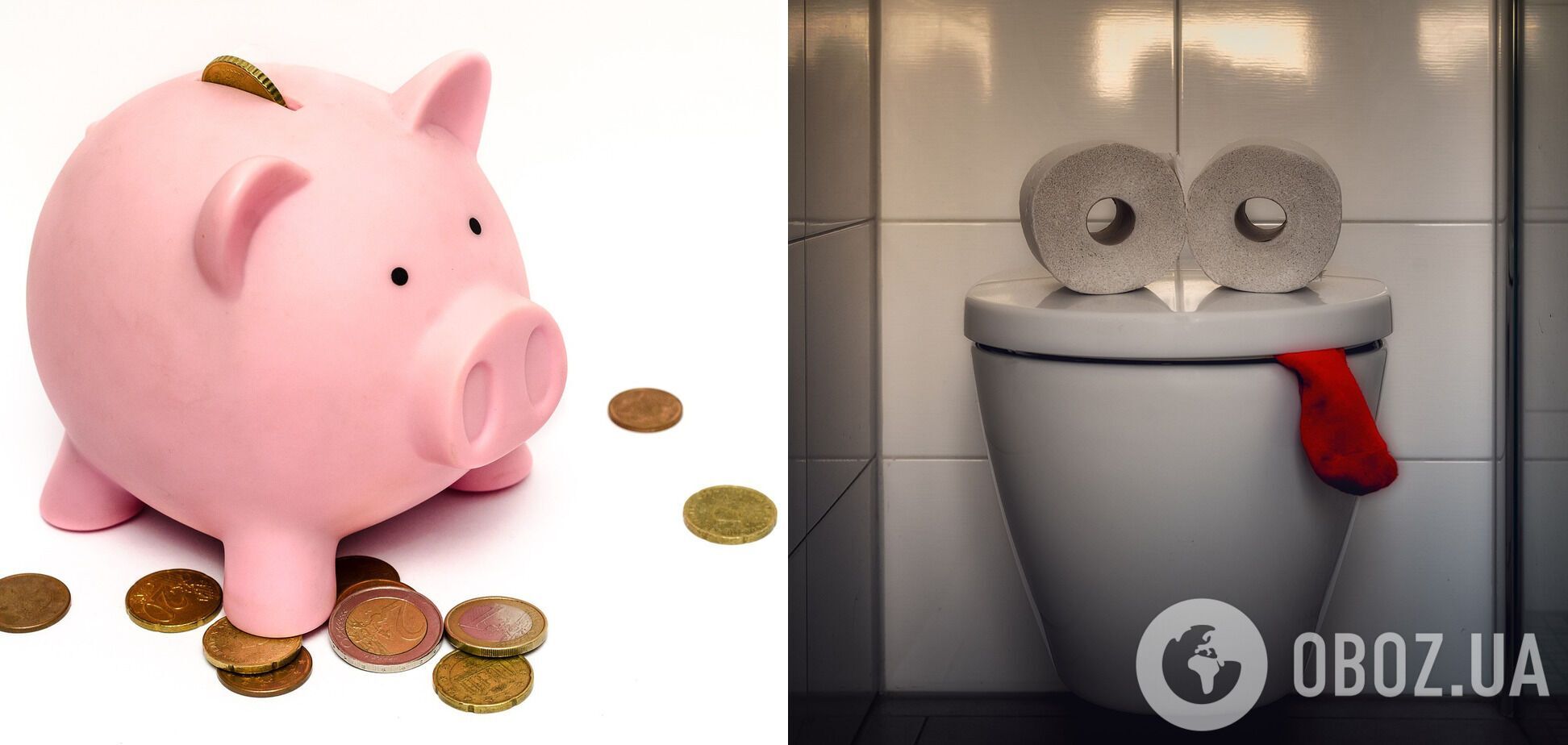 Благодаря тканевым туалетным салфеткам американка экономит в год 240 долларов.