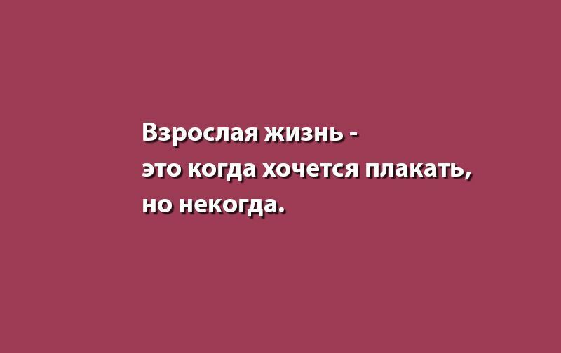 Анекдот про взрослую жизнь