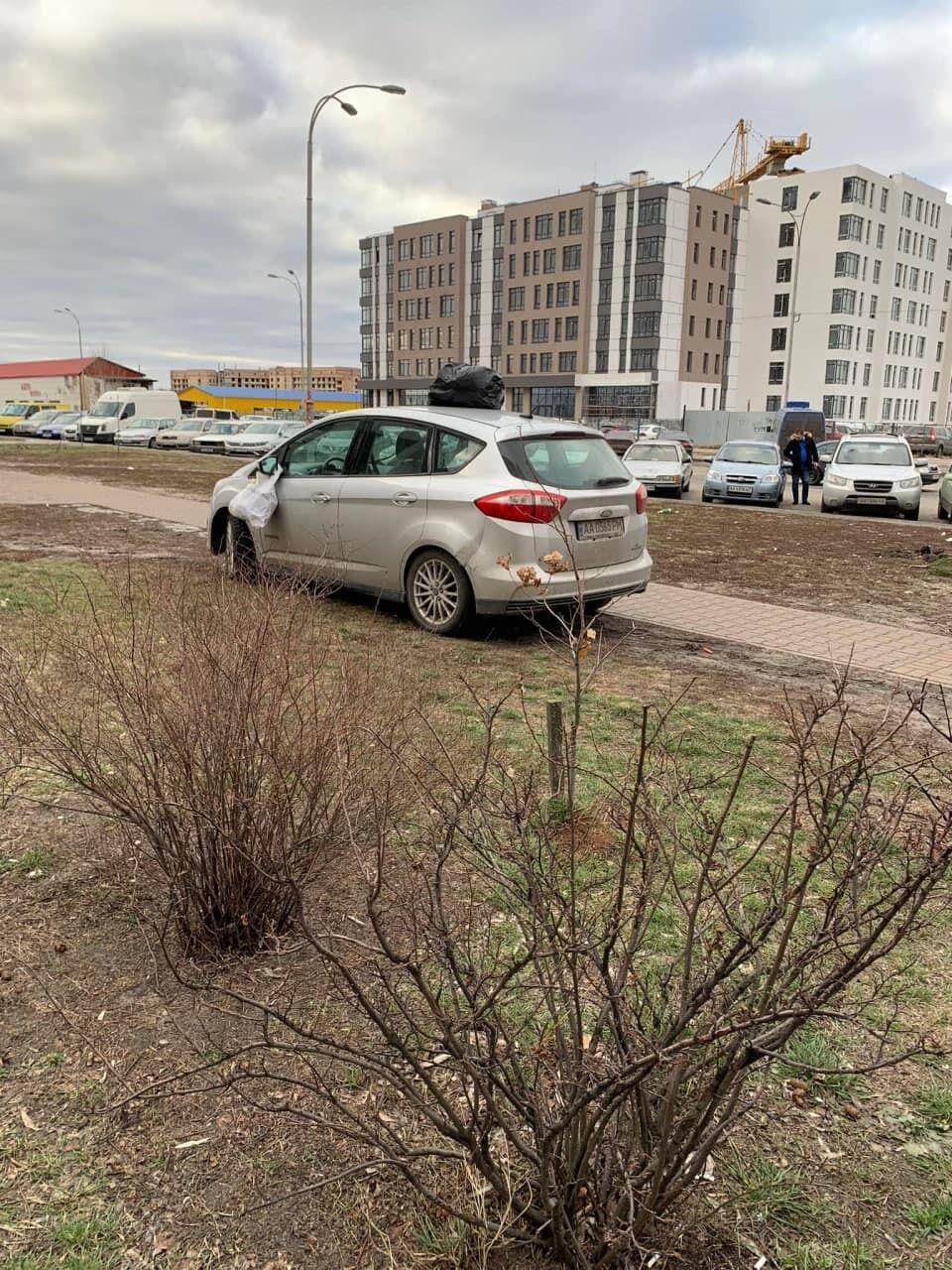 Водитель заехал на тротуар и припарковался на зеленой зоне.