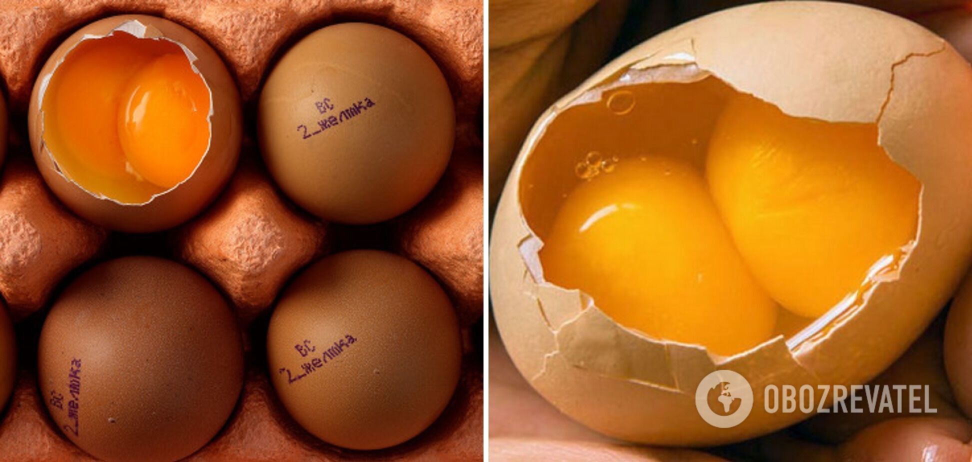 Чим корисні курячі яйця