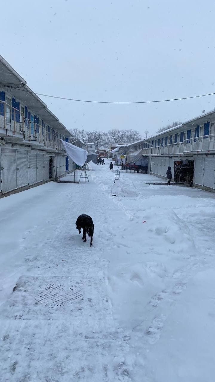 Рынок "7-й километр" в снегу