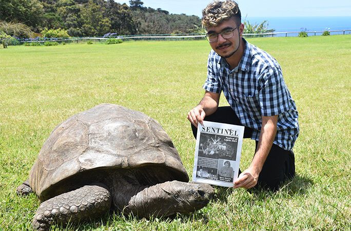 190-летняя черепаха снова побила рекорд долголетия: как выглядит ровесник телеграфа. Фото и видео