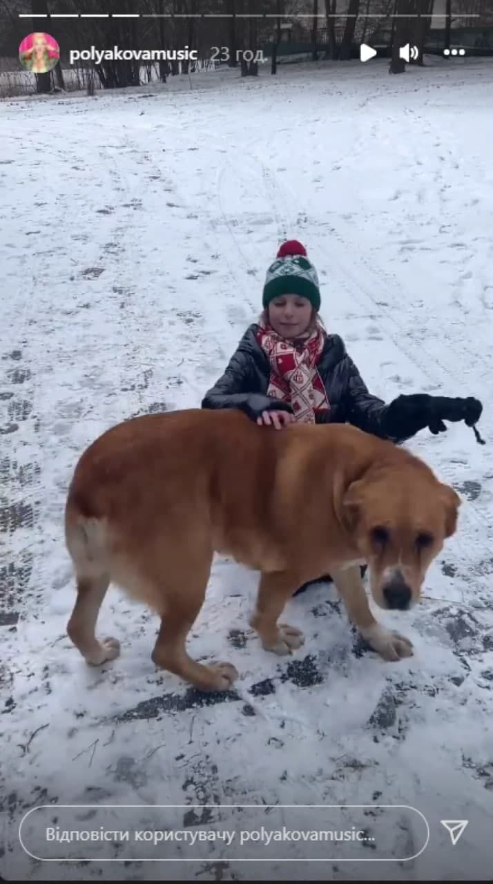 Алиса играет с собакой.