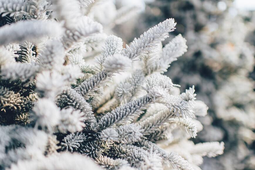 В останній зимовий місяць в Україні прогнозується низька температура.