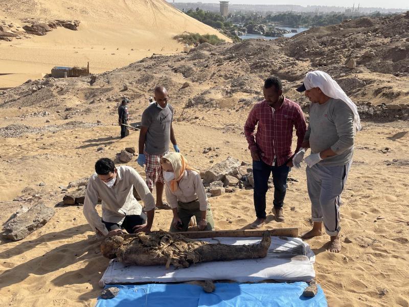 У Єгипті археологи знайшли гробницю греко-римського періоду з дитячими муміями. Фото