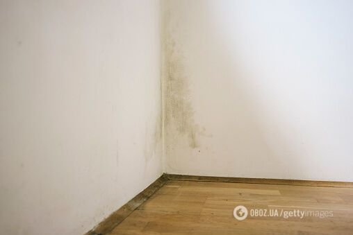 Плесень негативно сказывается на здоровье.