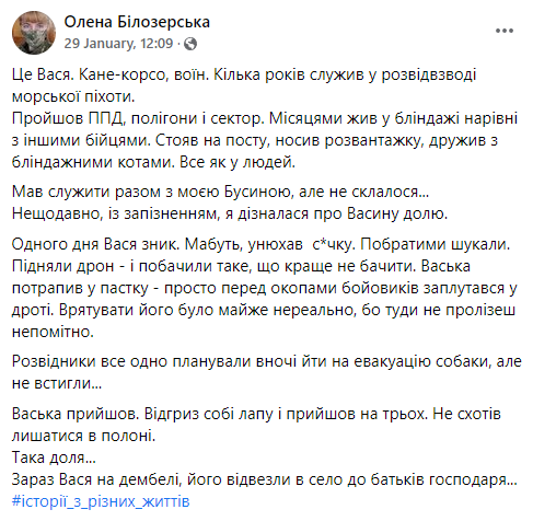 Скриншот сообщения Елены Белозерской в Facebook