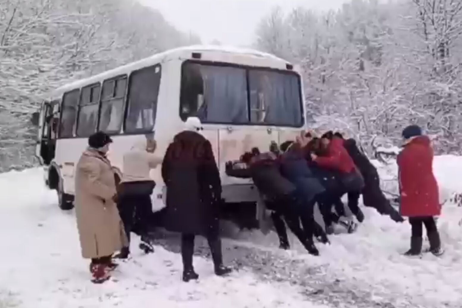 На Киевщине пассажиры толкали автобус, который застрял в сугробе. Видео