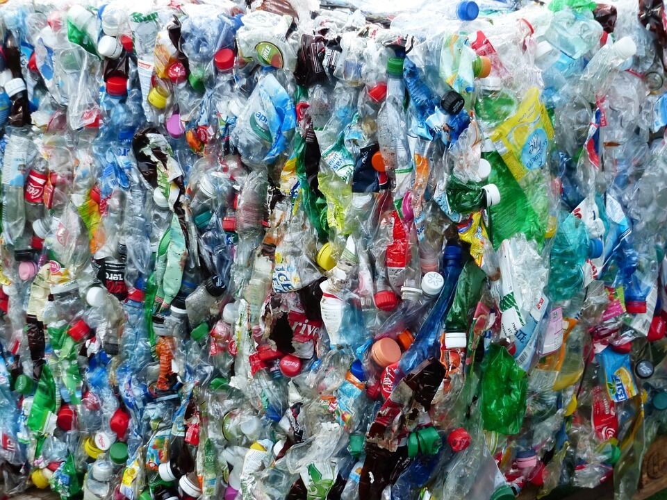 Пластикові відходи наносять неабияку шкоду середовищу