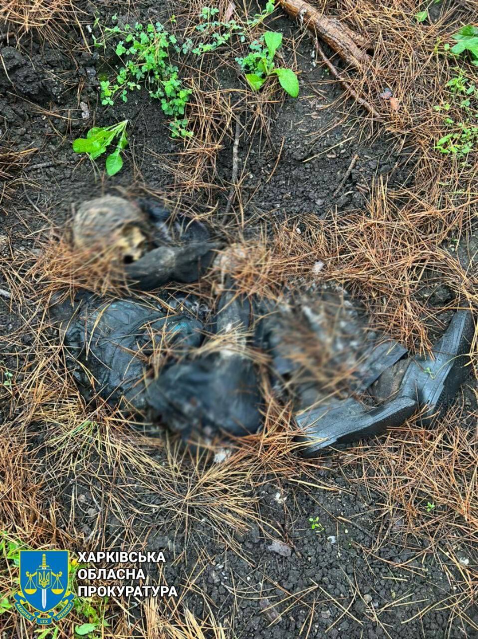 На Харківщині окупанти закатували чоловіка і залишили тіло у лісопосадці: руки були зв’язані шнуром