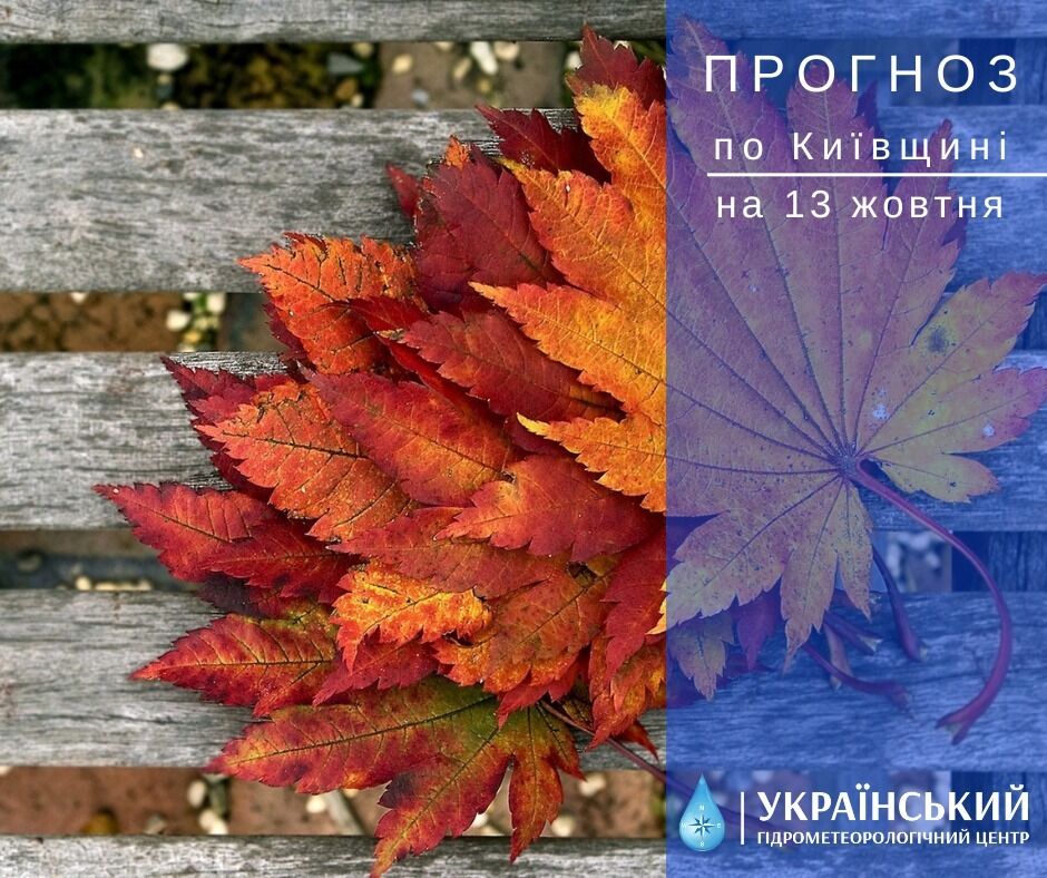 Вранці місцями туман та до +15°С: детальний прогноз погоди в Києві та області на 13 жовтня