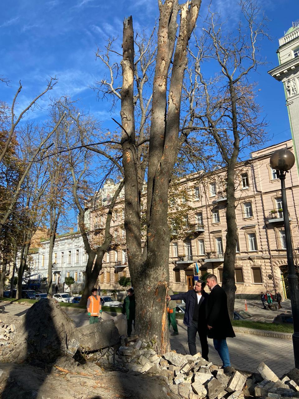 Внаслідок обстрілу парку Шевченка в Києві було завдано збитків на 2,25 млн грн. Фото