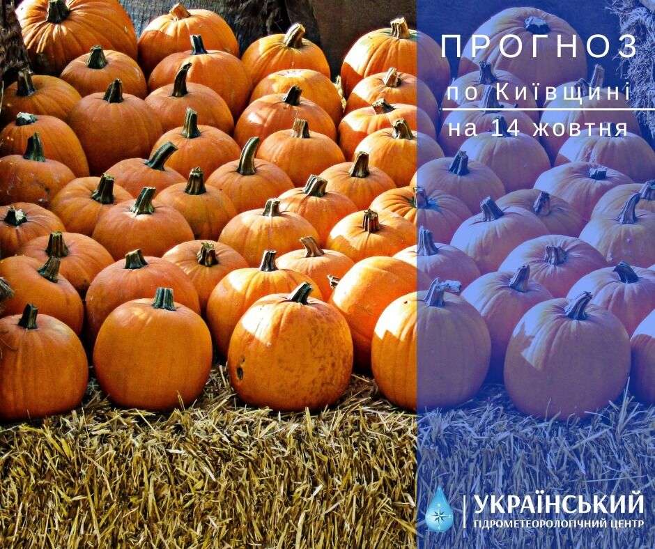 Місцями ранковий туман і до +16°С: детальний прогноз погоди в Києві та області на 14 жовтня
