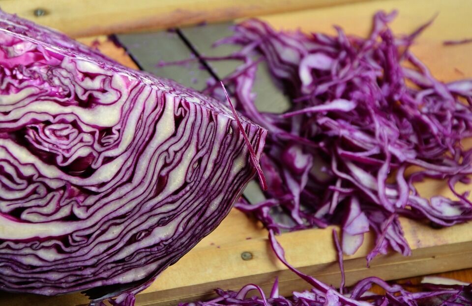Рецепти приготування фіолетової капусти