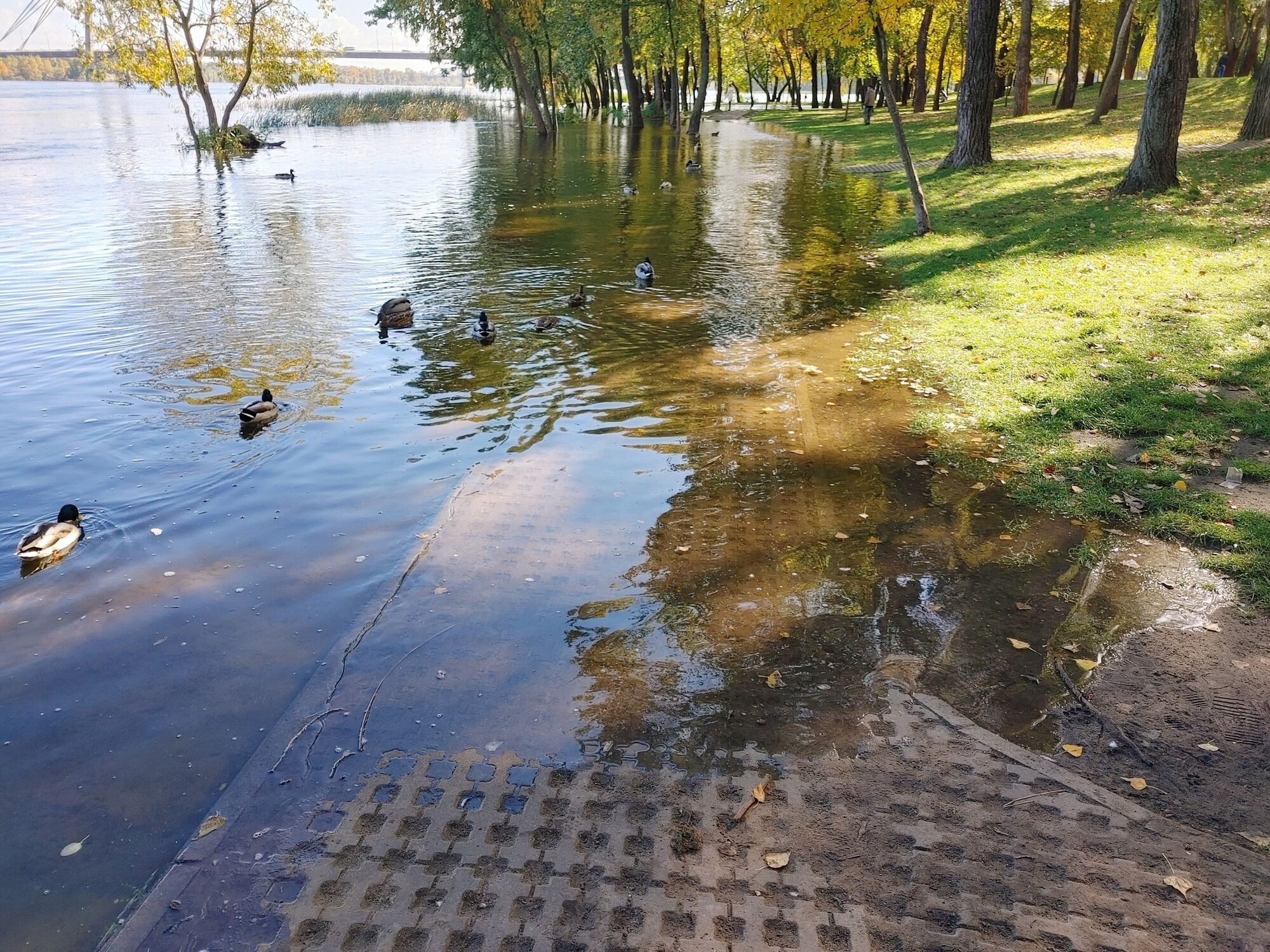 В сети показали последствия повышения уровня воды в Днепре в Киеве. Фото