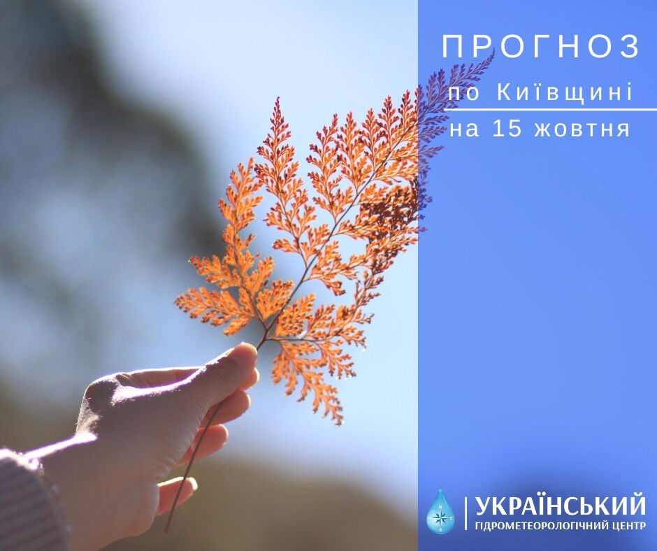 Без дощів і місцями ранковий туман: прогноз погоди в Києві та області на 15 жовтня