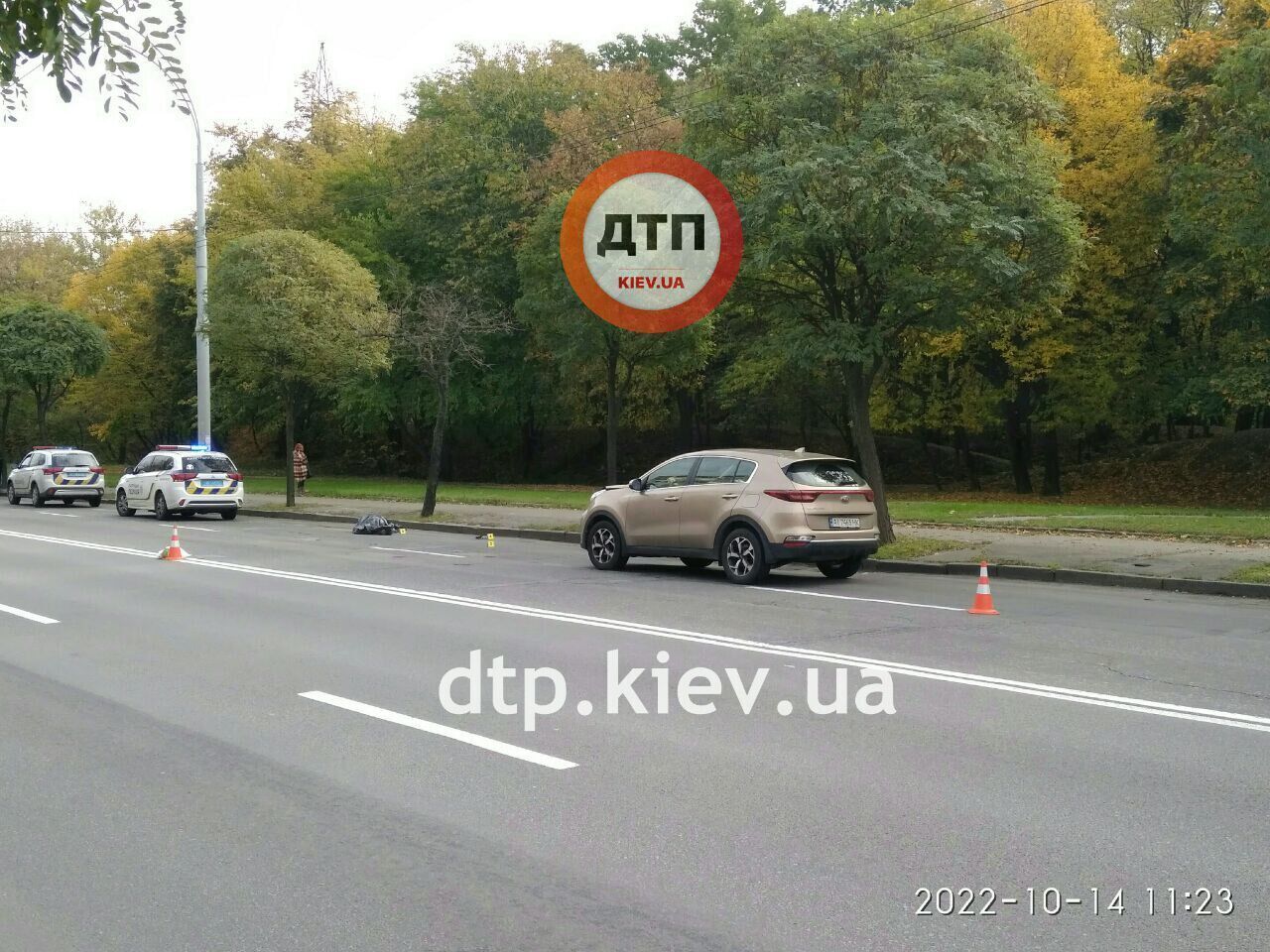В Киеве на Голосеевском проспекте легковушка сбила насмерть пешехода