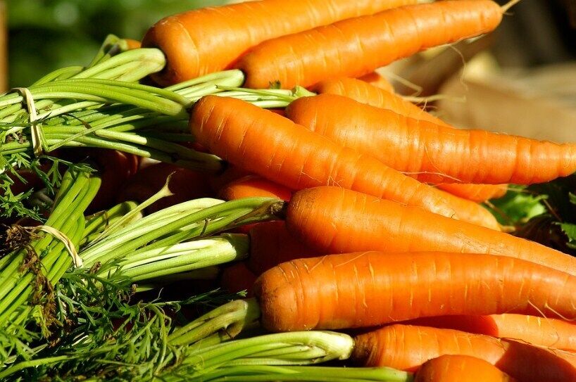 Рецепти приготування моркви